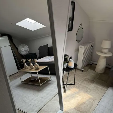 Cosy- Centre Appartamento